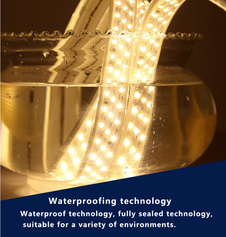 15 kg Peso do produto Lâmpada de faixa 3 2835 2700k 24v 12v SMD 2835 LED